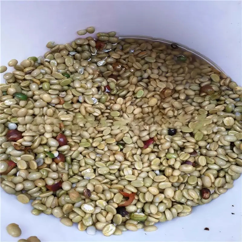 Máquina de Torrefação de Café  - Coffee Equipment In China avaliação e preço